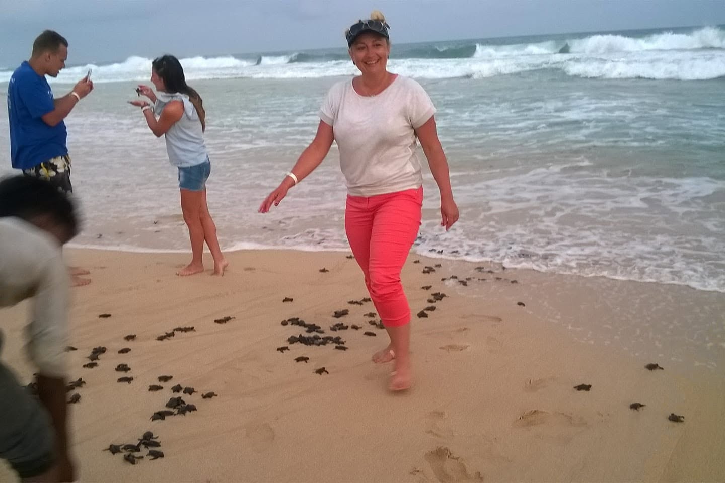 Sea Turtle Sanctuary Koggala