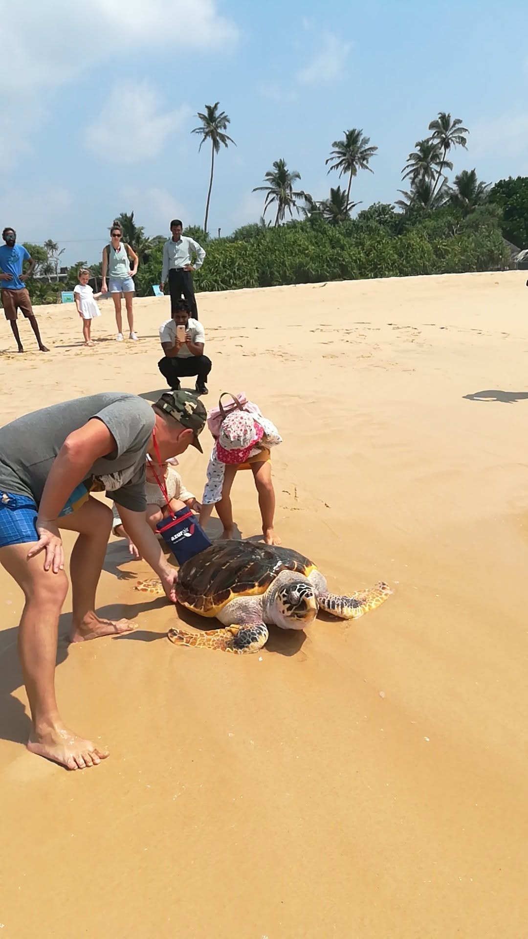 Sea Turtle Sanctuary Koggala